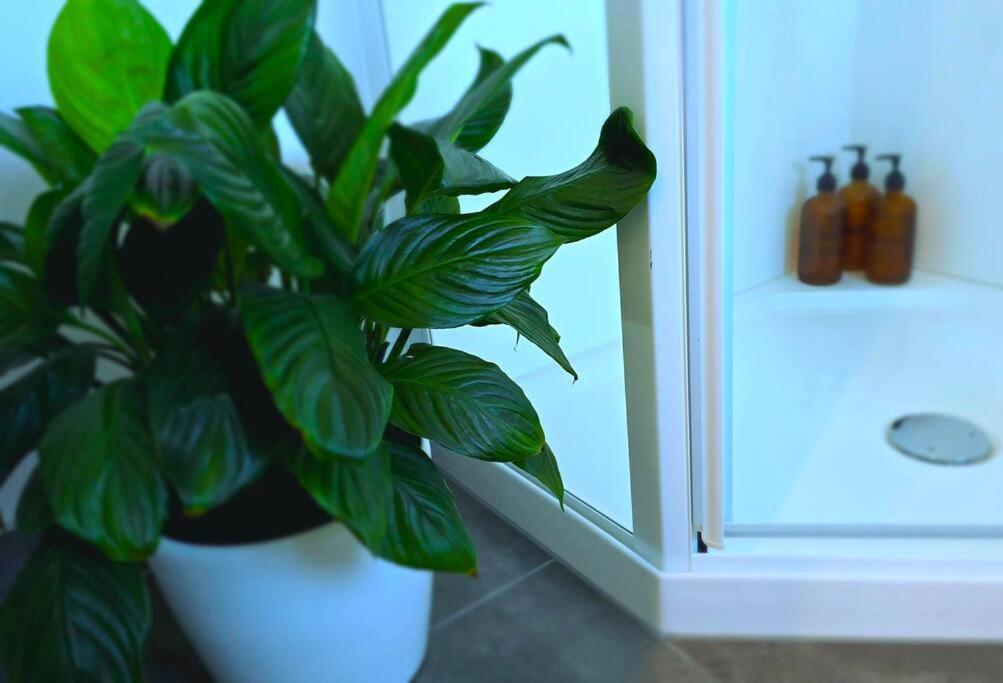 Apartment 2 - Haddin Court - Stunning Executive Μπλένχαϊμ Εξωτερικό φωτογραφία